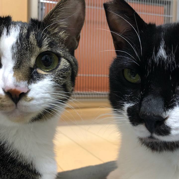 F39d6928 aed6 4357 8b8e 738dec6c4099 1554496352831