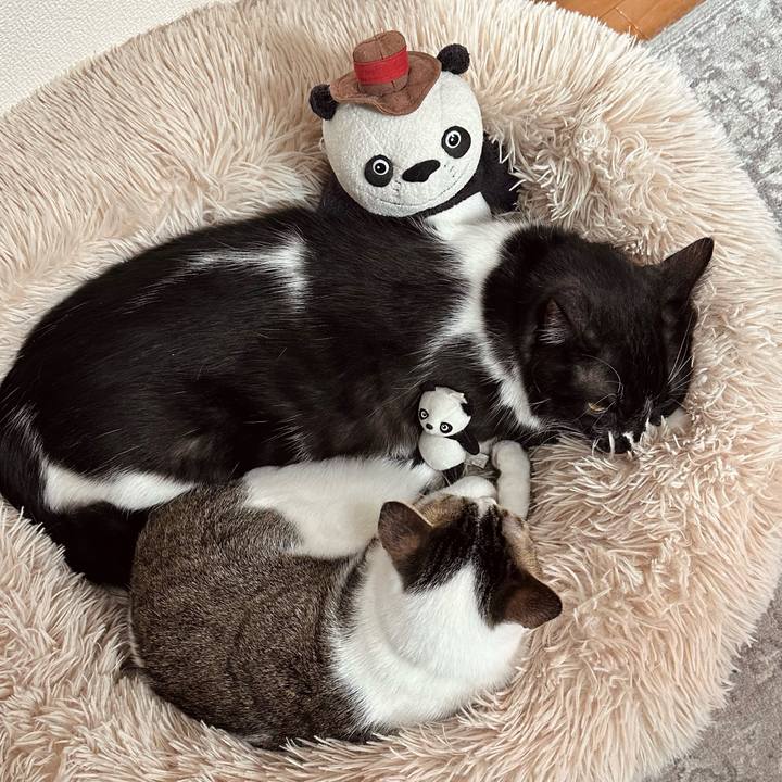 F39d928a 48b9 472e 8481 5a58390ce8b3 1771484798570