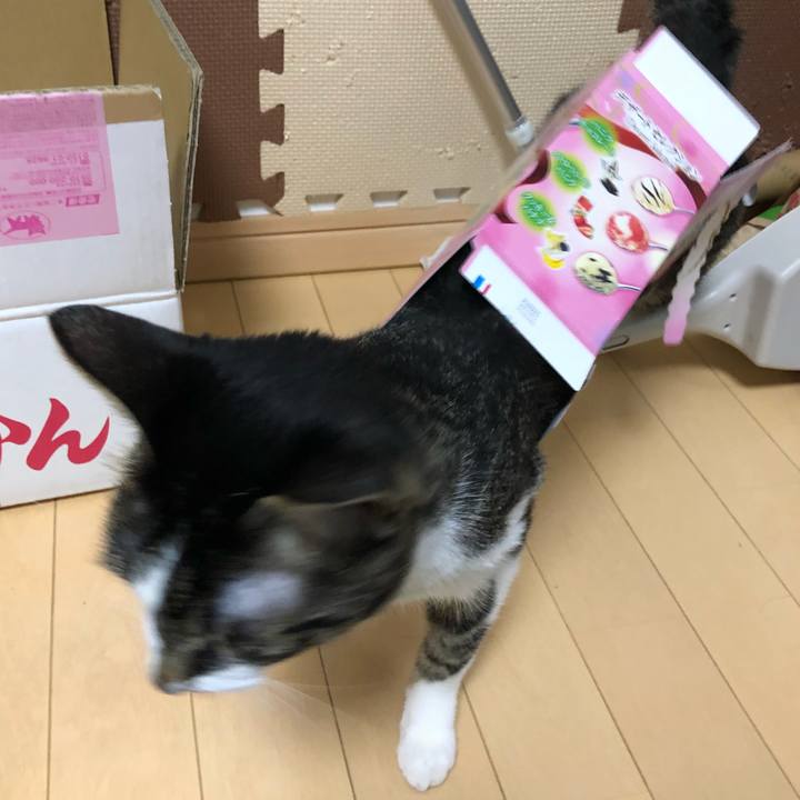 F39dbab7 bb63 4e98 a19c 0d23f5ad470f 1529728651802