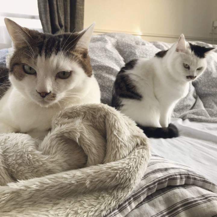 F39dcb16 c4ad 4ac1 9099 3be2fabf8597 1541488173538