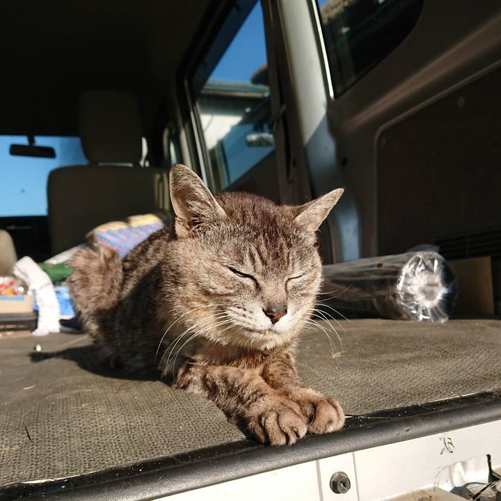 F39dde04 363a 4a63 8add e0dcfca5ee13 1591564556404