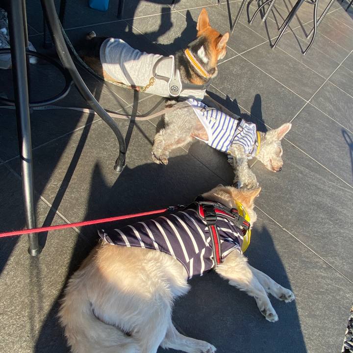 F39de5cf 8158 4949 ba68 f09c6de76c20 1700021953488