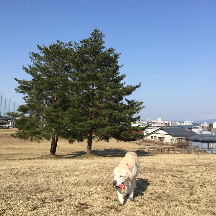 F39e09eb 4c1d 4cdc bf2a 43361bb152f3 1580012861936