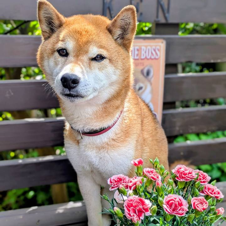 F39e734e 8915 4a7f a876 e31924cfca29 1746922878111