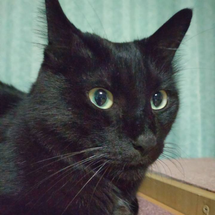 F39e7a90 be74 42c9 8f6a b1b2c1682b4e 1695127583231