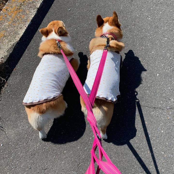 F39e8bed 8a60 4a99 a5d2 479a8d8caa31 1557279702956