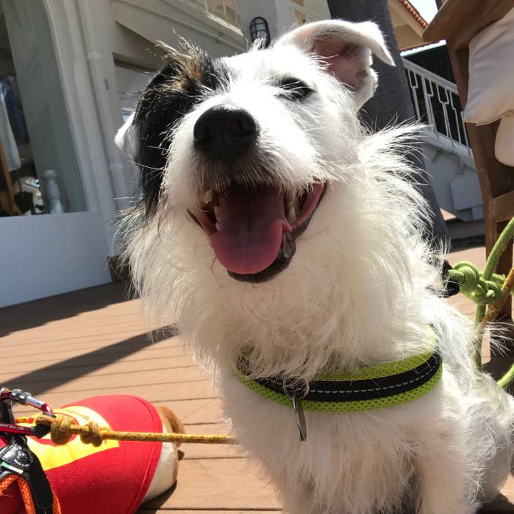 F39ea481 0986 4043 890b 3d46ec886a90 1524966291585