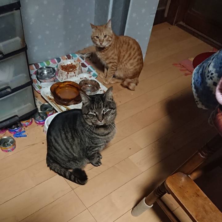 F39f181e 85f6 4813 abdc c136cc04e7c9 1643318765973