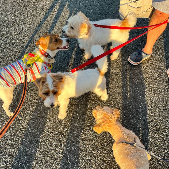 F39f1a4d c452 46d4 8d9e 744820cfc8ec 1726143833963