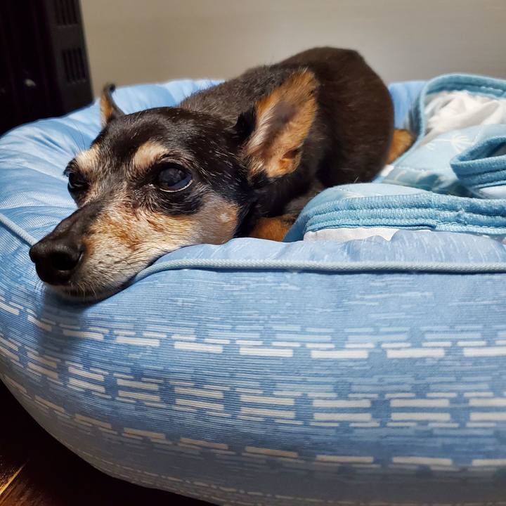 F39f26d5 2669 4911 815b 66090976d093 1690472428671