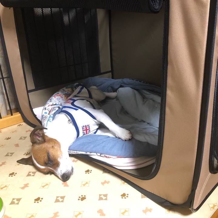 F3a0588c 40b0 4b02 a960 b83c58c6288c 1568115256463