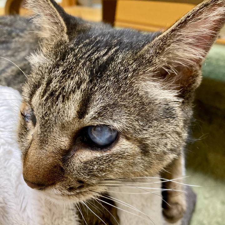 F3a05a2f 12e5 475f b523 584b0990f0e0 1675734915775