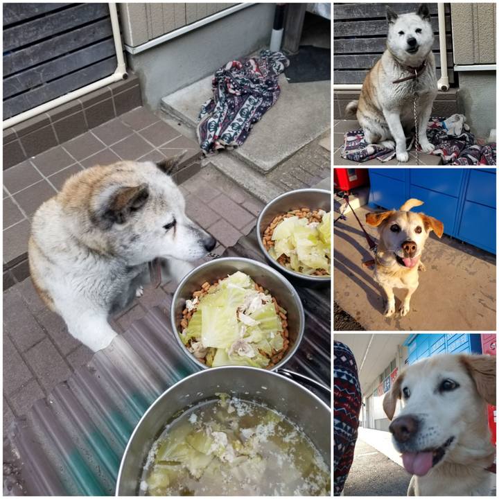 F3a062a9 62ff 4f7e a405 1990b425403e 1758347168045