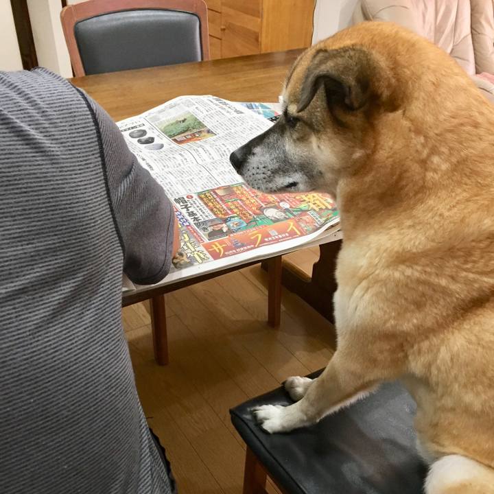 F3a07e63 612c 47c4 8cb4 515f8d501ef0 1536619821028