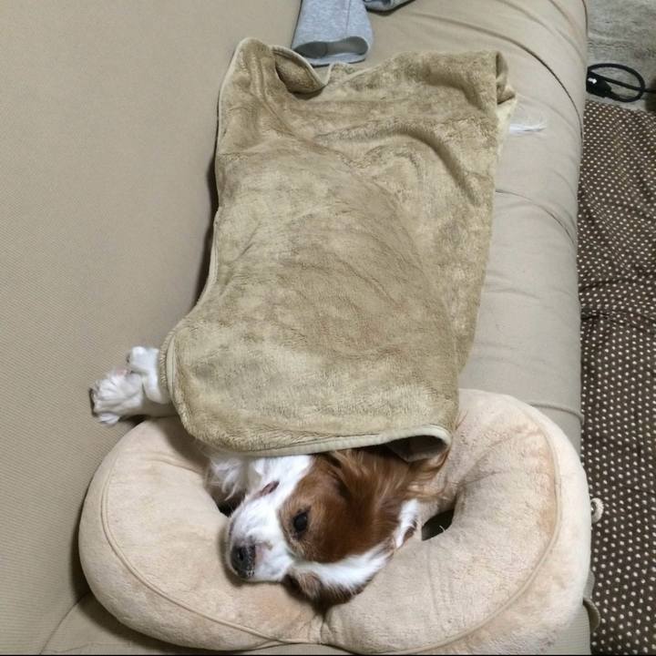 F3a0889d 86d7 4e28 a909 89b76e03dcbe 1718895564676