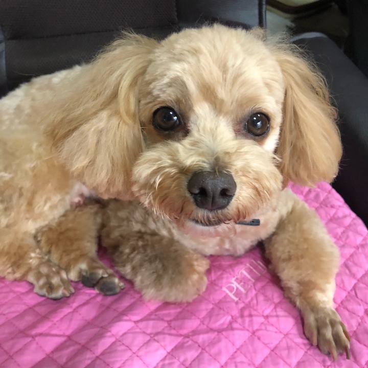 F3a10d97 5e6f 4e07 a69d 58bdbd4c4cc9 1683423659136