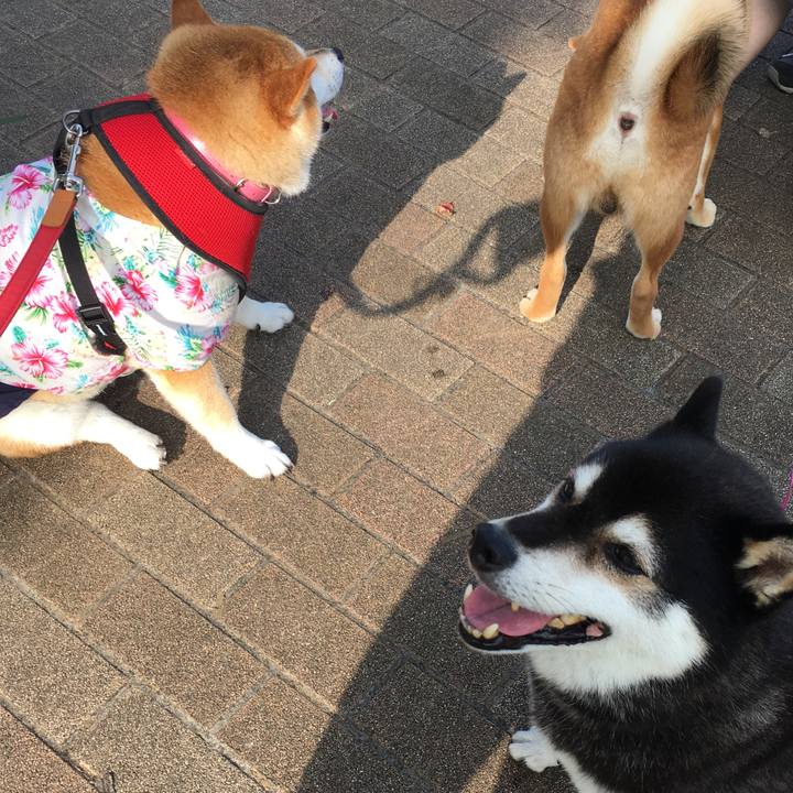 F3a11704 c82c 4abc 9cda acd9c33221d1 1596671329862