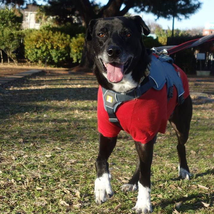 F3a11c55 bd63 41cf b72b 6ba75d0dc6bb 1704072100562