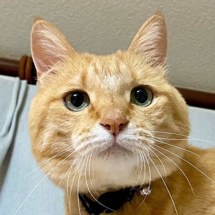 F3a17016 f76d 4de1 aa52 4207d7723336 1758373850384