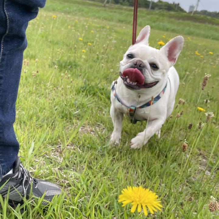 F3a1b26e f7b4 4cf9 9463 0fc392d8ce56 1747970649735