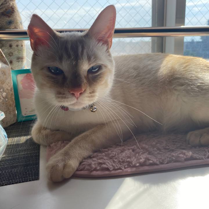 F3a23f58 07bb 47b6 bd32 80bdb2ff889f 1647066266471