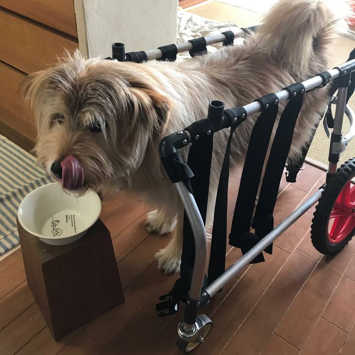 F3a25fee 1d93 4e71 b34e 23f2bbdba388 1649995897954