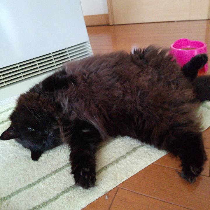 F3a26d1c 94de 40aa 8d2b 05ac4deadef8 1639779638637