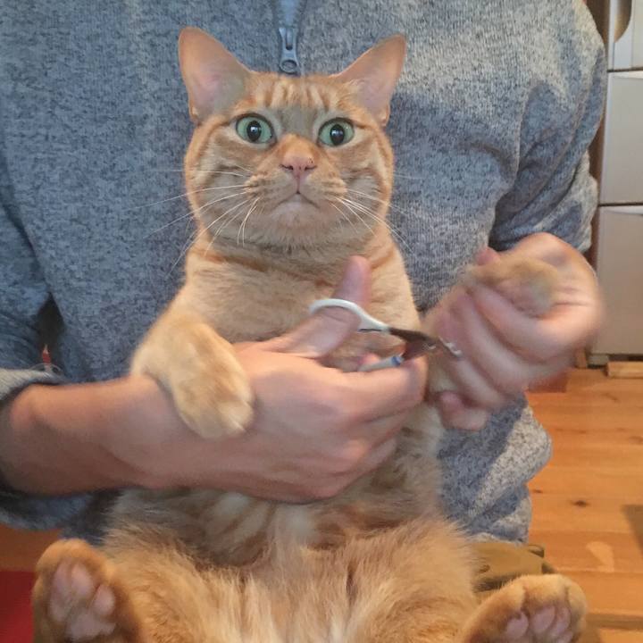 F3a29601 7fb2 4d36 bdb5 636c9e893a58 1578525578696