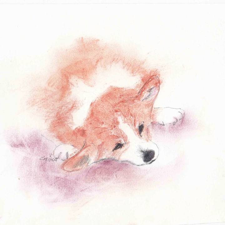 F3a2ad4f 765a 4c7c 8223 8c29e7275076 1572258270583