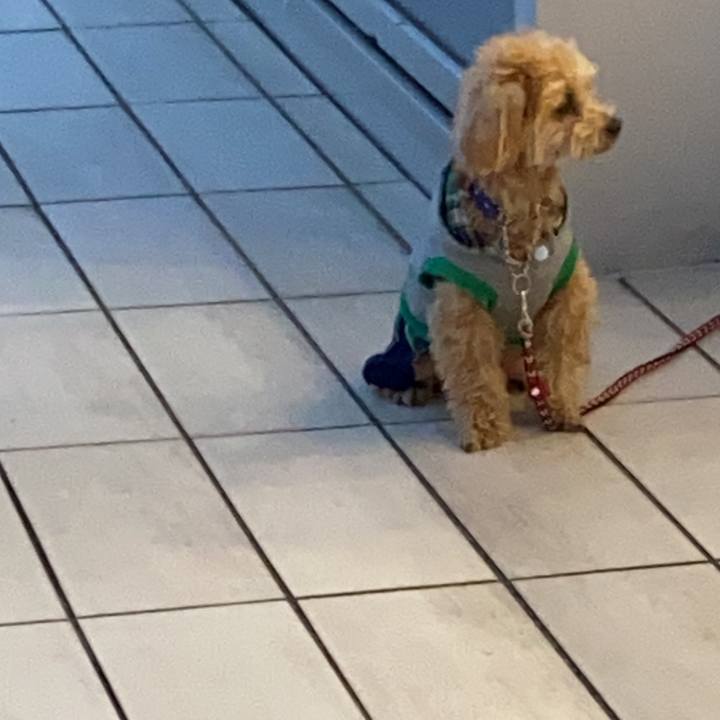 F3a2b8d4 be5c 45ad b6c8 1c501fffc09f 1618175083177