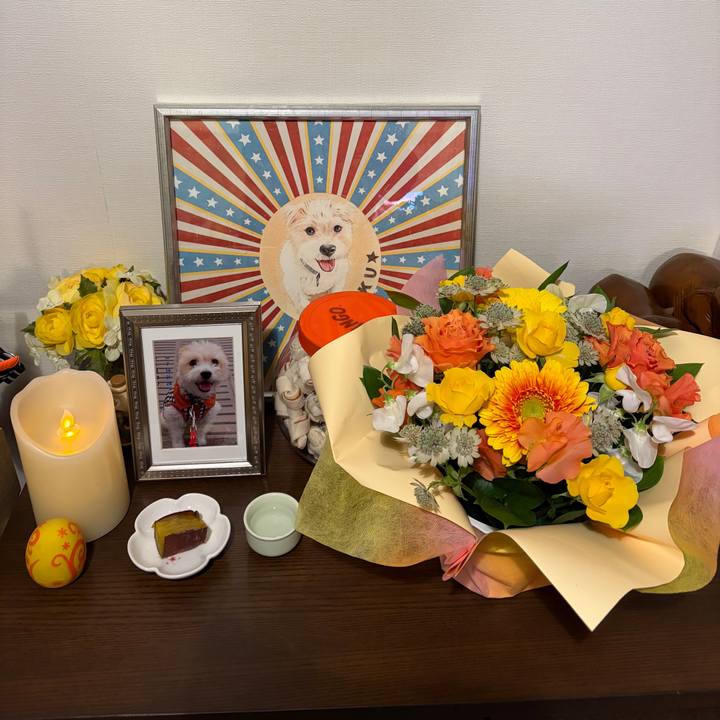 F3a2fefa 4d43 4c01 8fb7 07fdde74d85e 1769339313450