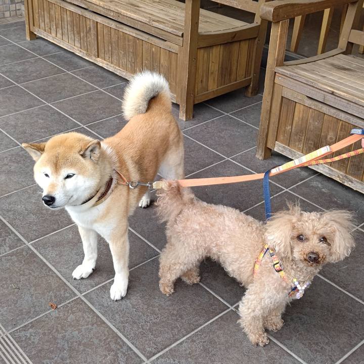 F3a2ffe4 650f 4249 a3be eaa496755496 1620177151373