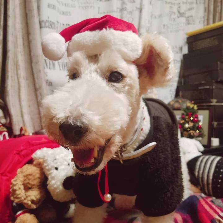 F3a31add e97d 4cfd 94a7 bdcee600ee42 1577285898825