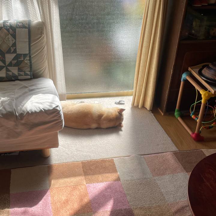 F3a349b5 ad62 403b bc70 15499536922c 1707445671863