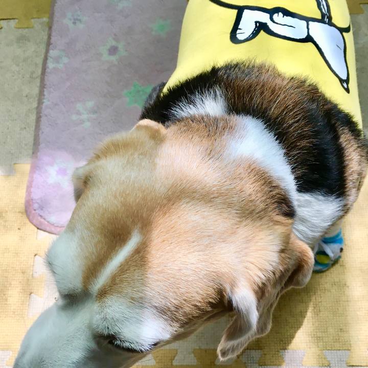 F3a35f51 703c 4669 b1dc 2a8f9efacf63 1565150057351