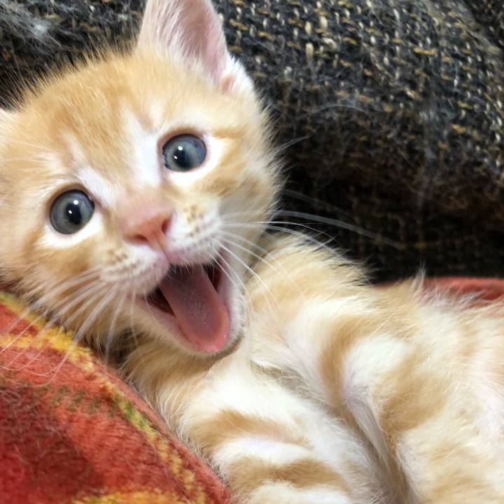 F3a36dcd fcbc 45af a69c d9328fea3b94 1560948023647