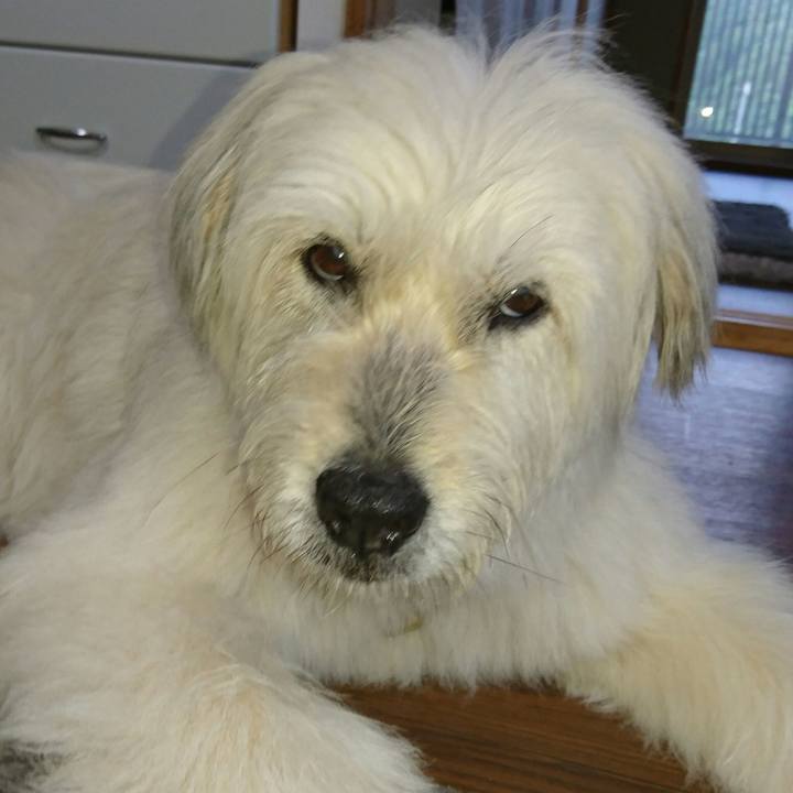 F3a370a9 0880 4b1d b453 af5b3178071b 1560248031160