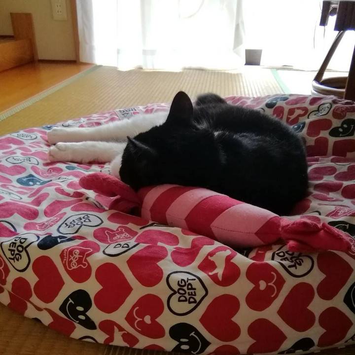 F3a38342 6e82 4552 9af8 c7cd0a88a0d2 1561710794467