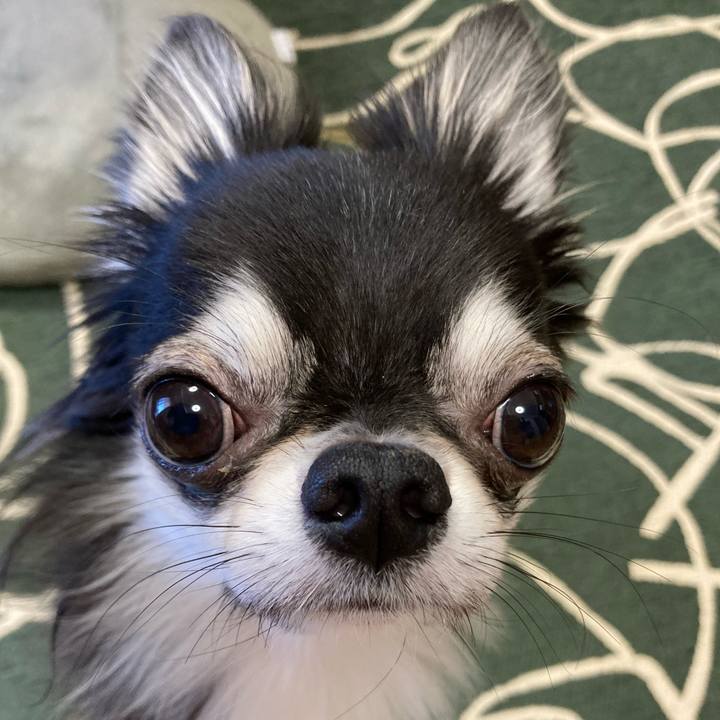 F3a38eca 7b57 4cfb 8e50 cc79256aa8d8 1634943734257