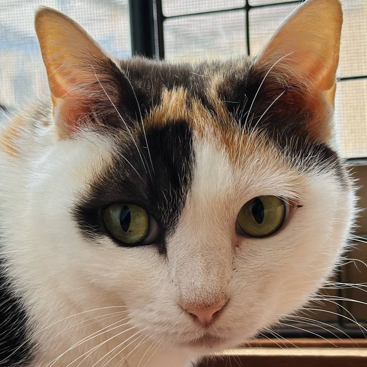 F3a3a792 b387 470e 9ebe 84efe2ba00f7 1715999463507