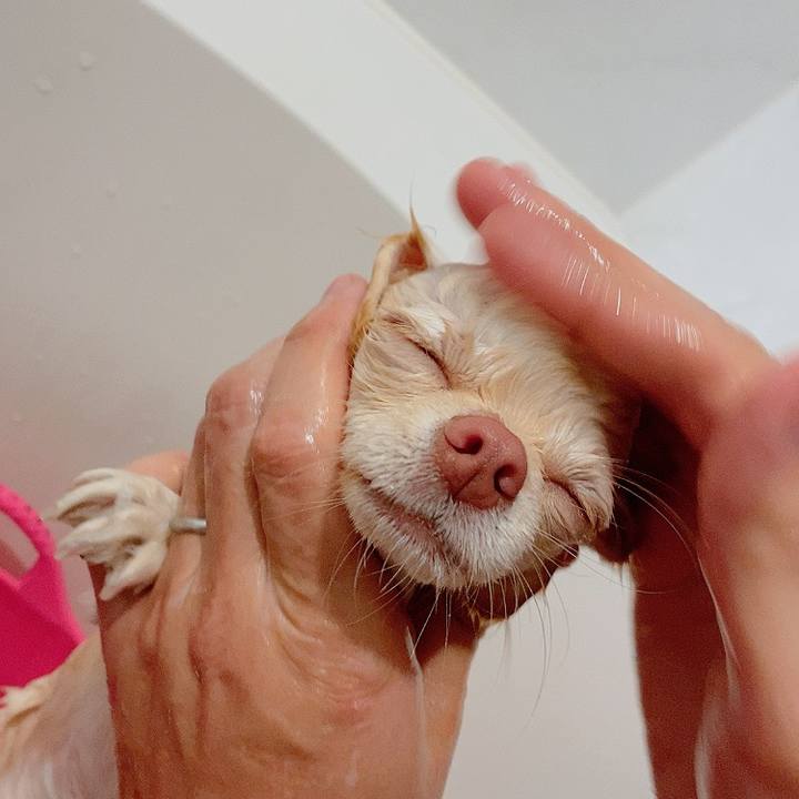 F3a3fb43 b890 402e 8293 966038a0d5d3 1609585223602