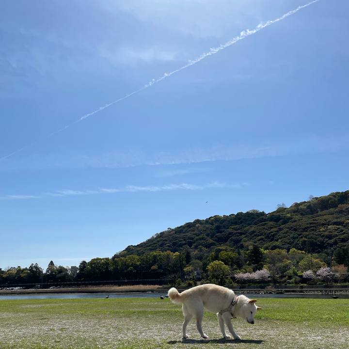 F3a45d62 e9aa 422b 88d4 429d4c136937 1648786322775