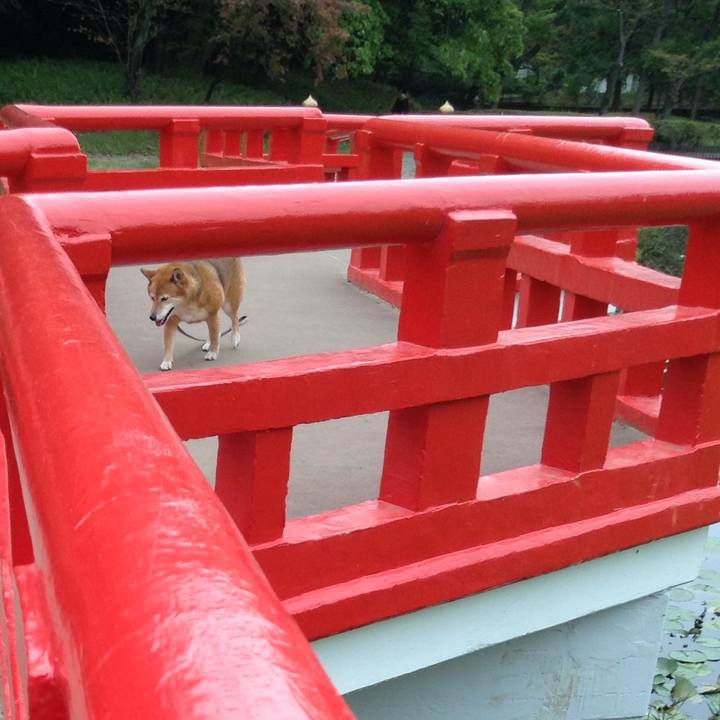 F3a4c9fa 54a0 4fb9 a48c 8a84e7590cfa 1538721388731