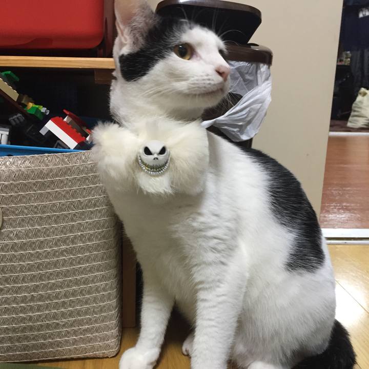 F3a502fb 721e 4bff b571 d372d7c9e451 1508758308511