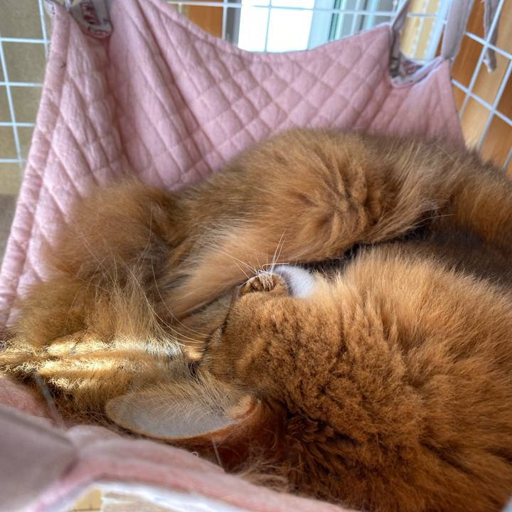 F3a51bb1 23ee 41f9 8143 4ecb1df24865 1665450115455