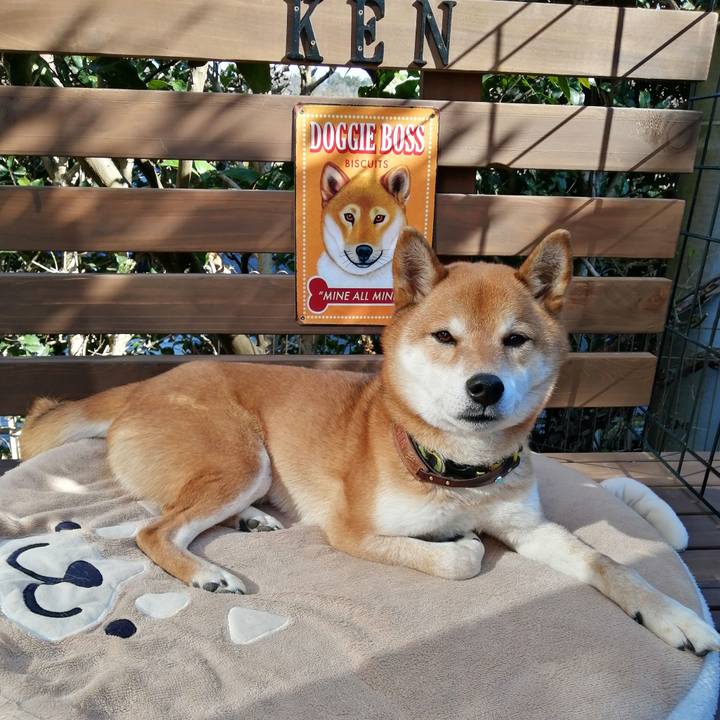 F3a5207a 9aa5 48d1 98b2 39727a74daba 1612585236223