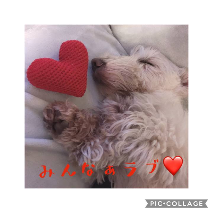 F3a54743 bdaa 487a b911 ad0e12f8e6e7 1578490834392