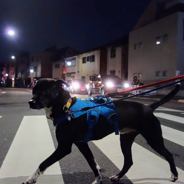 F3a5cb39 f521 4fe9 aba4 b36ad5acc1e0 1615198281397