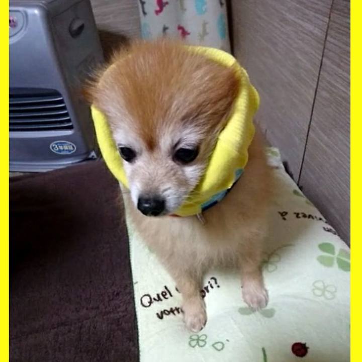 F3a5dbd4 1305 44b2 a4f5 8fe6513e6a8f 1510795678570