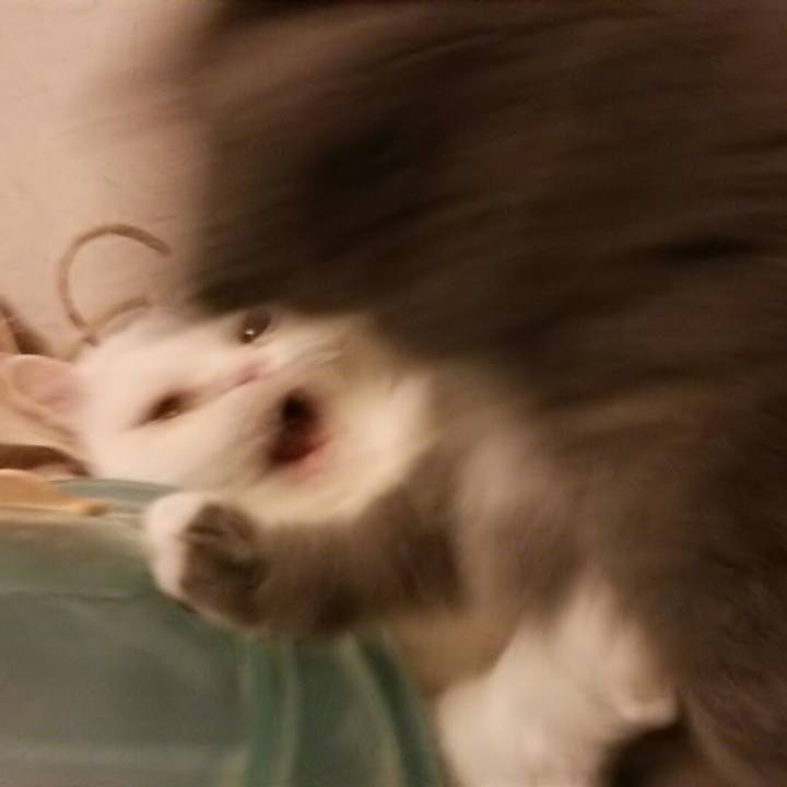 F3a5e668 22ce 4ffc 9836 6b6abb601154 1554728060871